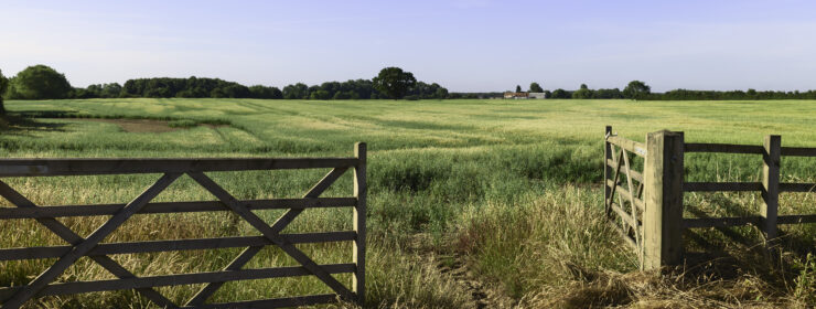 Open gate into agricultural landscape in summer