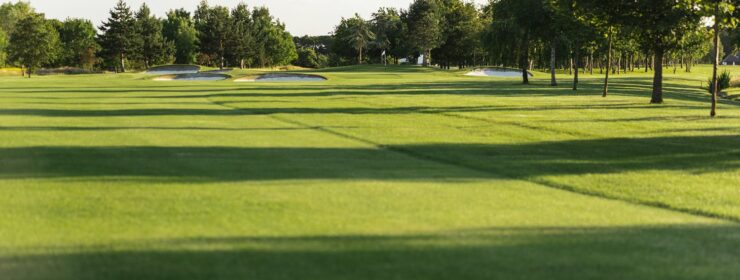Skylark Golf and Country Club