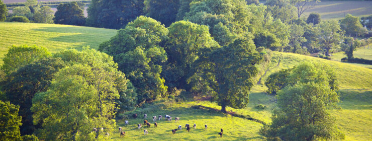 Idyllic rQural view of gently rolling patchwork farmland and villages with pretty wooded boundaries, in the beautiful surroundings of the Cotswolds, England, UK.