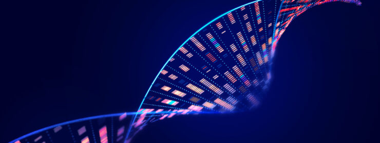 Human genome analysis DNA molecular structure