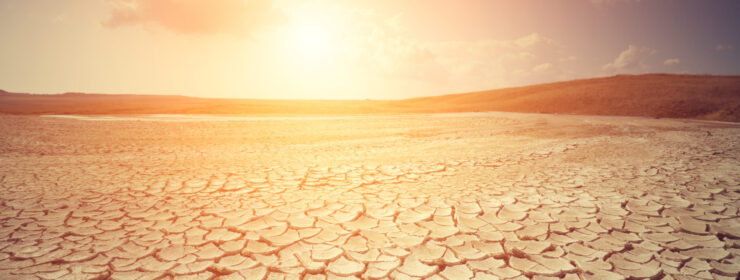 Cracked earth on a sunny day