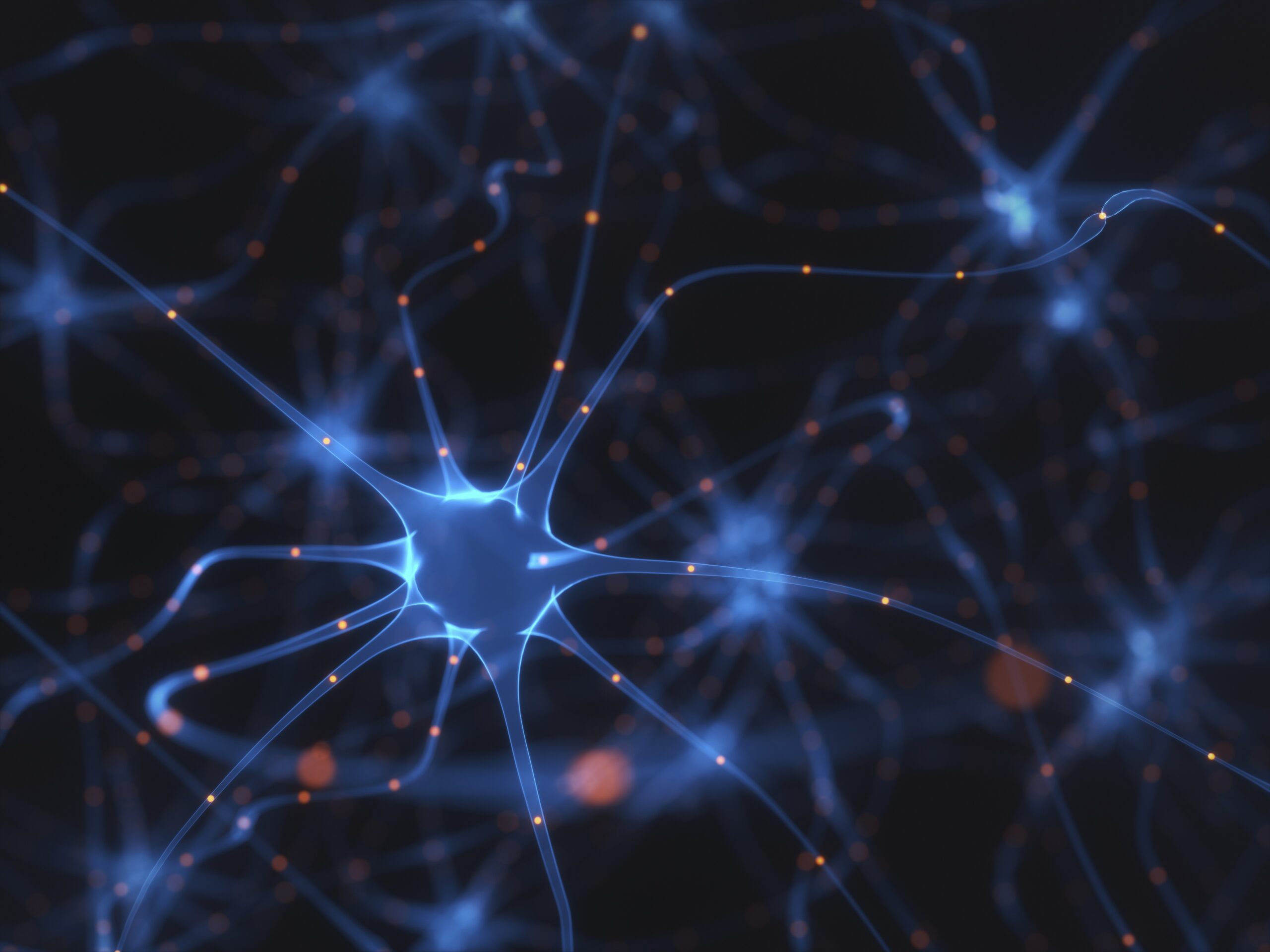 Human brain nerve cells, illustration.