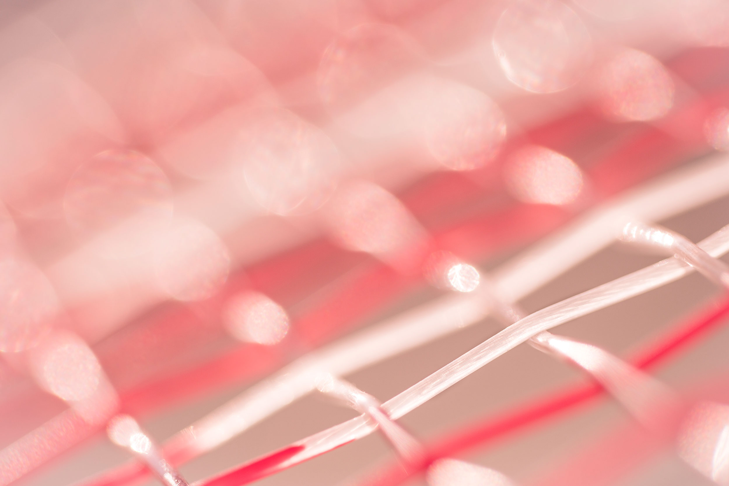 An extreme close up of woven tennis racquet strings.