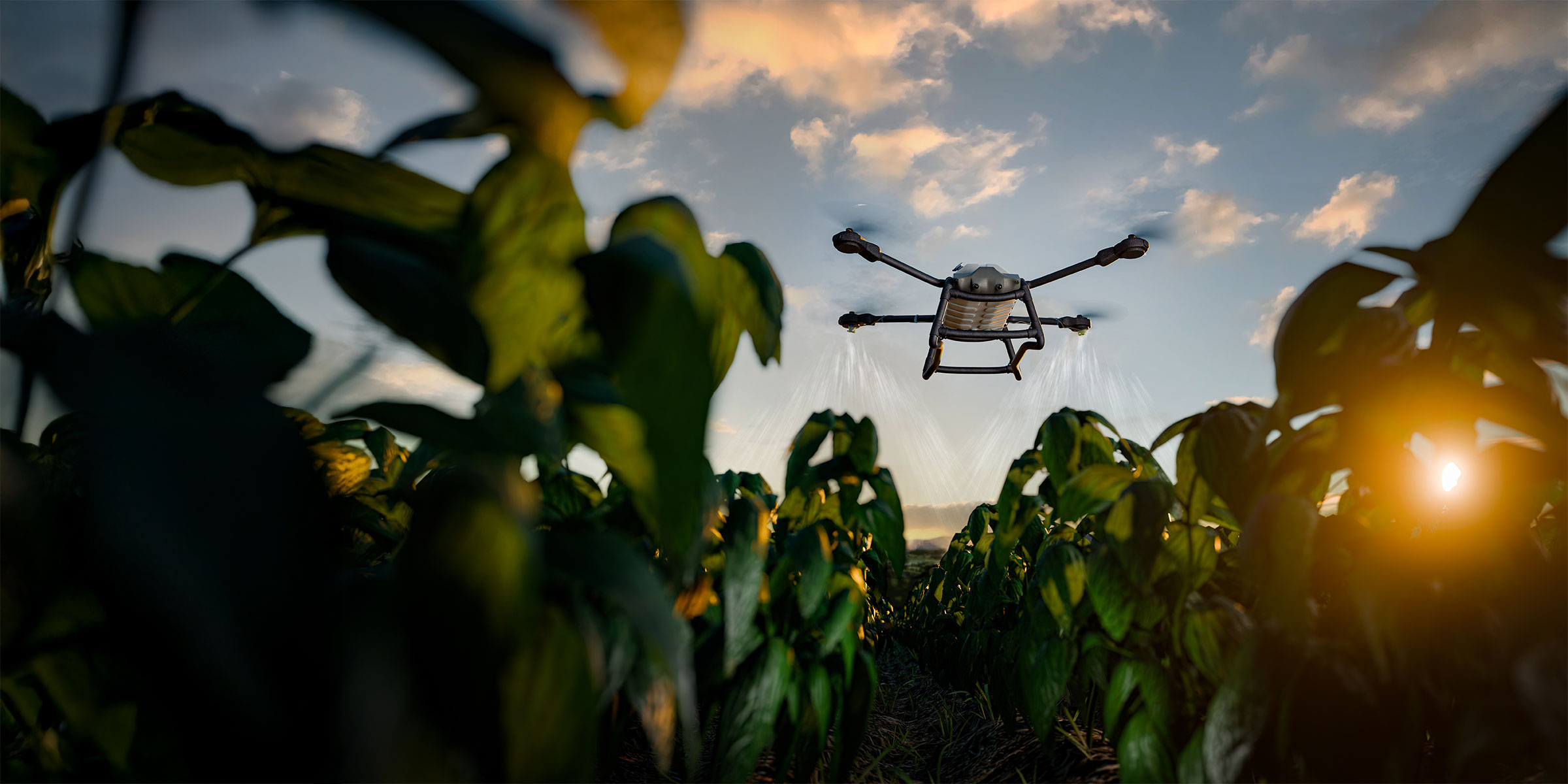 AgriTech image, drone over field