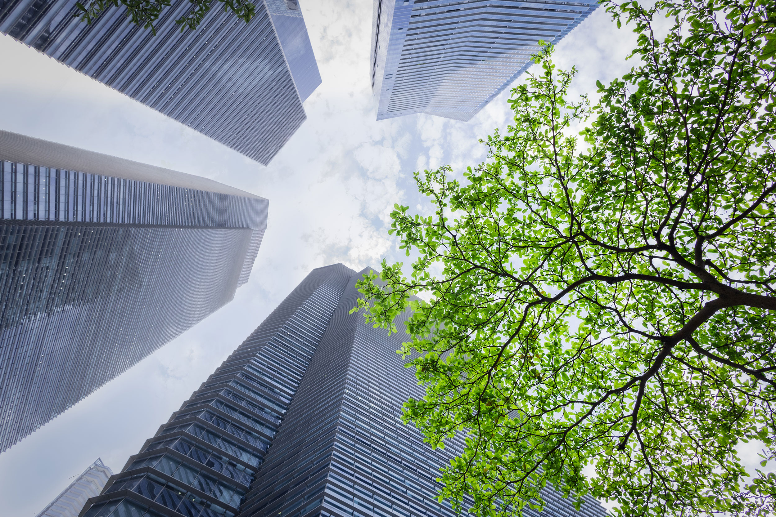 Eco-friendly building. Sustainble green building. 