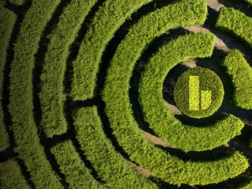 Maze detail in a forest, game and fun