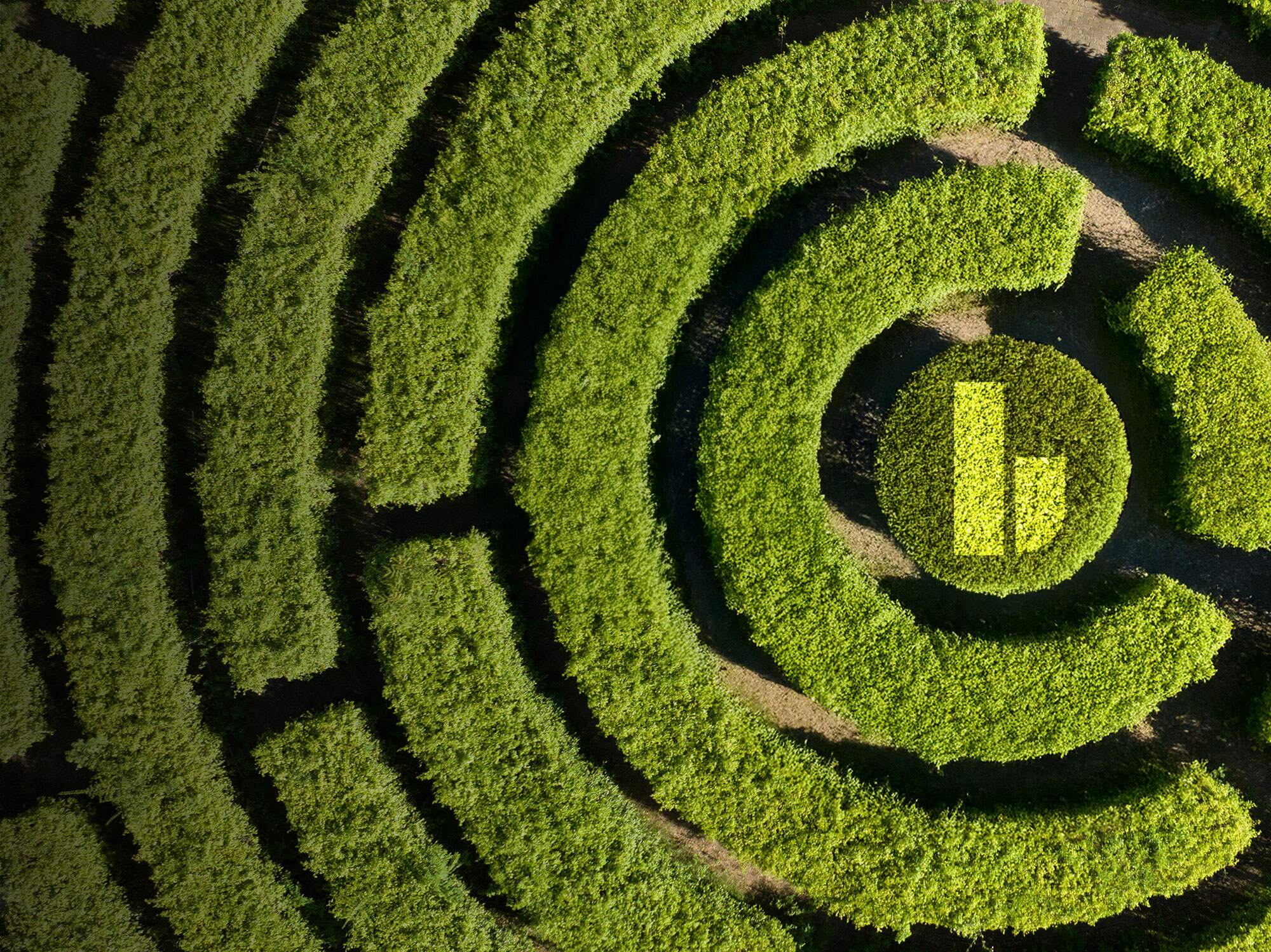 Maze detail in a forest, game and fun