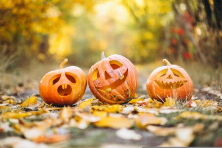 Close-up of pumpkins on field during halloween